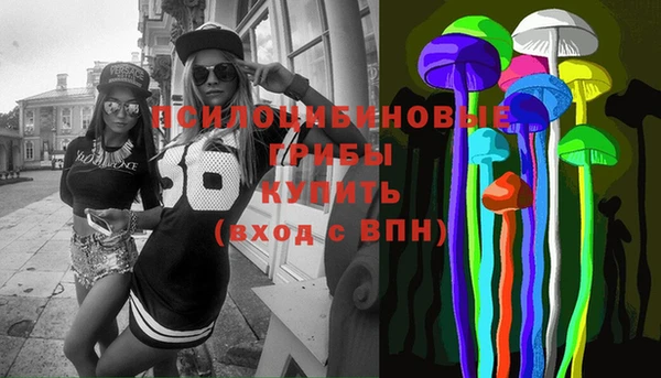 прущий лед Гусев